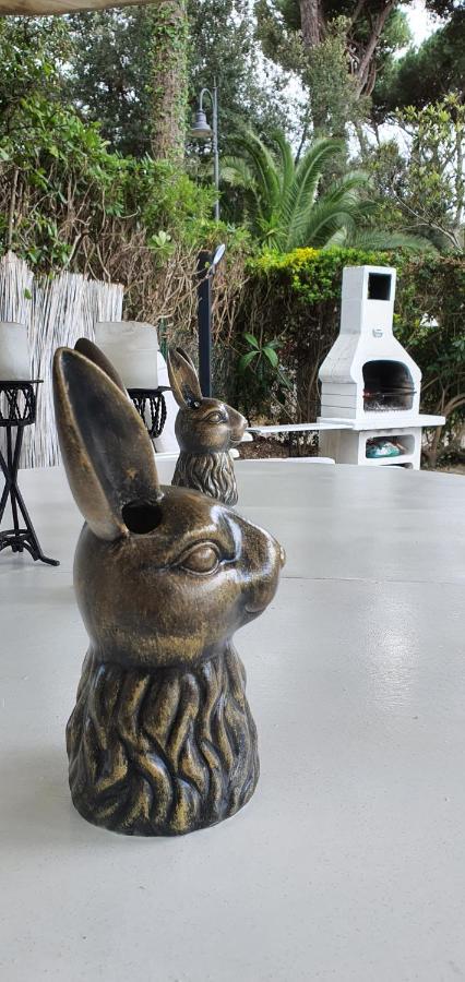 Domus Auroom grande giardino, wi-fi, free parking Viareggio Buitenkant foto