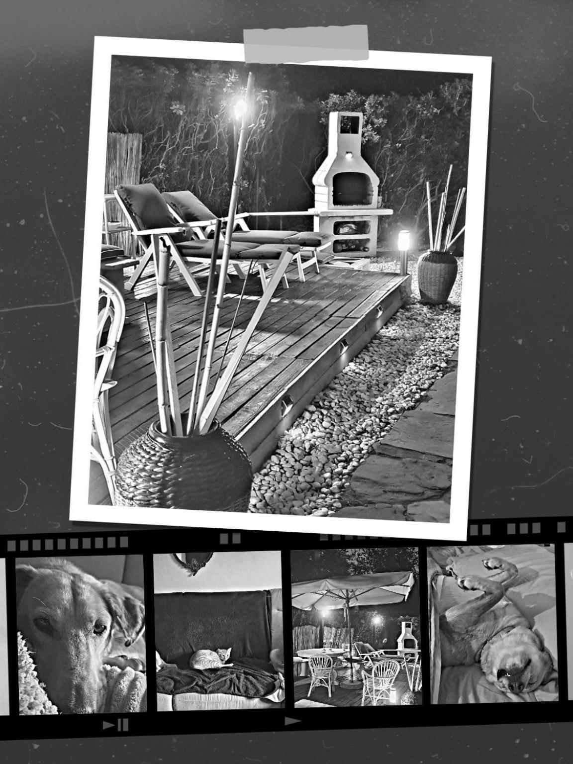 Domus Auroom grande giardino, wi-fi, free parking Viareggio Buitenkant foto