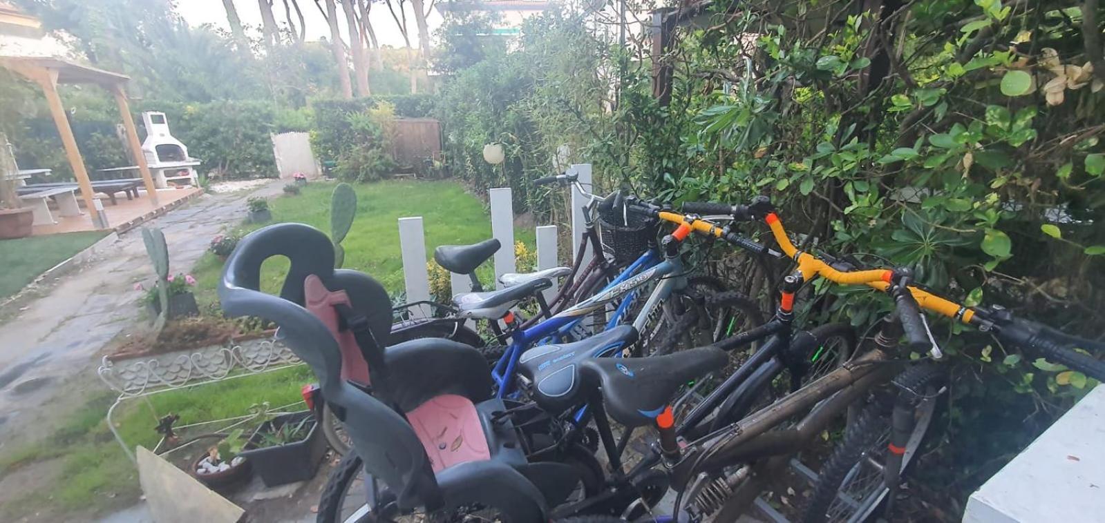 Domus Auroom grande giardino, wi-fi, free parking Viareggio Buitenkant foto