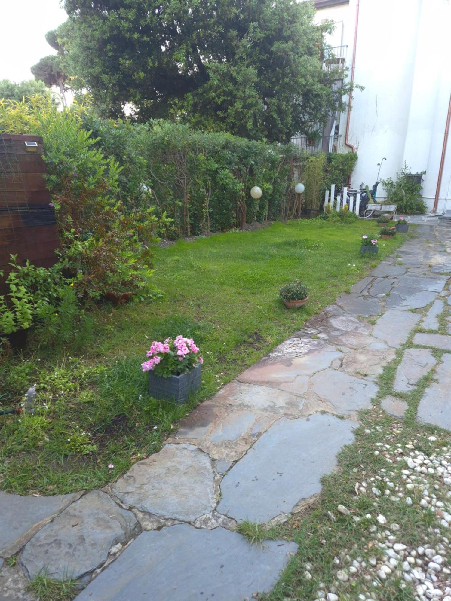 Domus Auroom grande giardino, wi-fi, free parking Viareggio Buitenkant foto