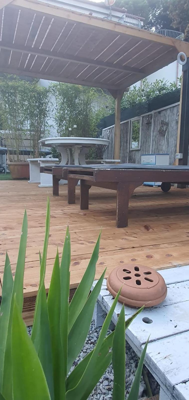 Domus Auroom grande giardino, wi-fi, free parking Viareggio Buitenkant foto